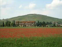 Alojamiento:&nbsp;Cinghialino