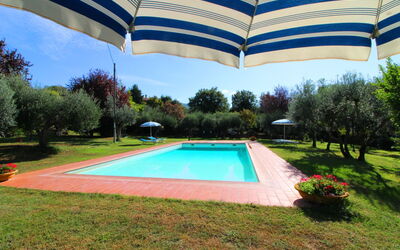 Ca di Maestro: Planta, Propiedad, Agua, Paraguas, Cielo, Azur, Árbol, Piscina, Sombra, Edificio