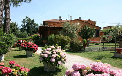 Fattoria Il Salice