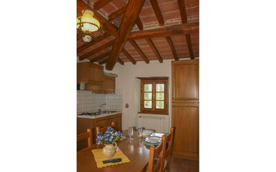 Alojamiento:&nbsp;Il Susino