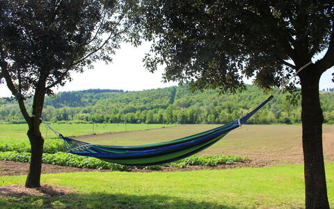 Villa Alabastro: Planta, Cielo, Árbol, Sombra, El Terreno Del Lote, Paisaje Natural, Tierras Altas, Madera, Hierba