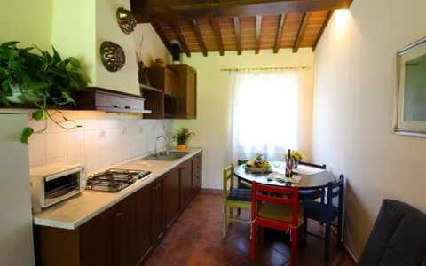 Alojamiento:&nbsp;Orchidea