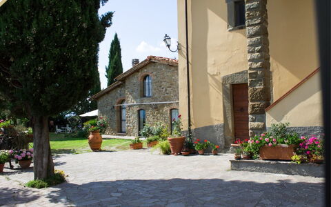 La Greppia: Planta, Edificio, Cielo, Maceta, Superficie De La Carretera, Arquitectura, Árbol, Barrio, Casa, Planta De Casa