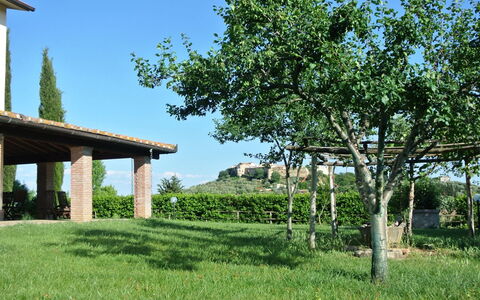 Nonno Tobia: Cielo, Planta, Verde, Paisaje Natural, Árbol, El Terreno Del Lote, Hierba, Vegetación, Sombra, Pradera