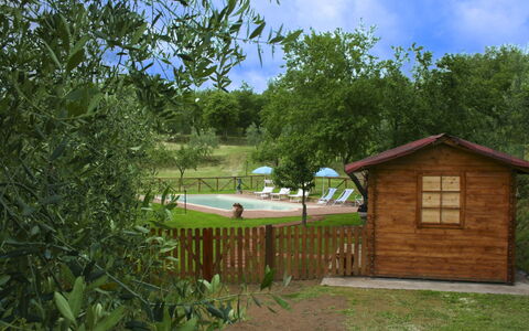 Country House Il Galleto: Casa, Arbusto, Área Rural, Cabaña, Inmuebles, Pueblo, Casa De Campo, Jardín, Paisajismo