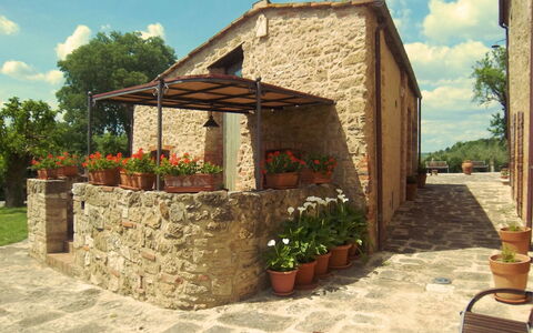 Pieve di Sant Ippolito: Planta, Flor, Cielo, Nube, Propiedad, Edificio, Maceta, Árbol, Sombra, Madera