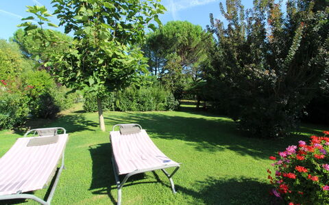 Pagliazzone: Planta, Cielo, Planta De La Comunidad, Flor, Nube, Paisaje Natural, Botánica, Árbol, Sombra, Mueble Para Exteriores