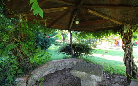 Pagliazzone: Planta, Botánica, Sombra, Agua, Vegetación, Planta Terrestre, Arecales, Plantas Leñosas, Paisaje Natural, Hierba