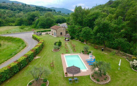 La Casa di Pino: Planta, Nube, Cielo, Naturaleza, Verde, Árbol, El Terreno Del Lote, Diseño Urbano, Biome, Paisaje Natural