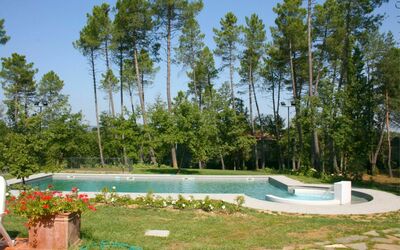 Verde Incanto - San Timoteo, Toscana, Italia
