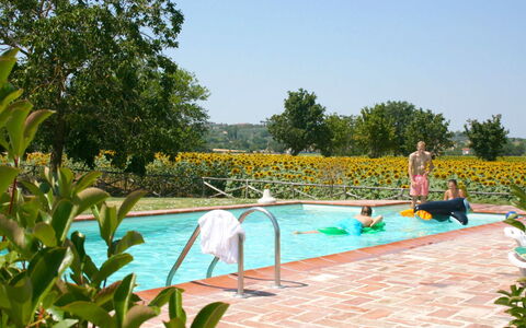 Il Viaggiolo: Piscina, Ocio, Mueble Para Exteriores, Recreación, Jardín, Recurso, Vacaciones, Sombra, Paisajismo, Eco Hotel