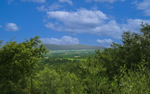 La Rogaia: Paraguas, Mueble, Mueble Para Exteriores, Sombra, Silla, Mesa Al Aire Libre, Maceta, Piscina, Diseño, Planta De Casa