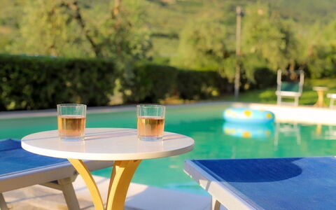 Olivo: Agua, Mesa, Mueble, Propiedad, Vajilla, Azur, Mueble Para Exteriores, Planta, Mesa Al Aire Libre, Árbol