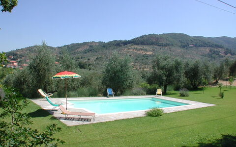 Olivo: Cielo, Agua, Propiedad, Planta, Piscina, Botánica, Árbol, Edificio, El Terreno Del Lote, Rectángulo