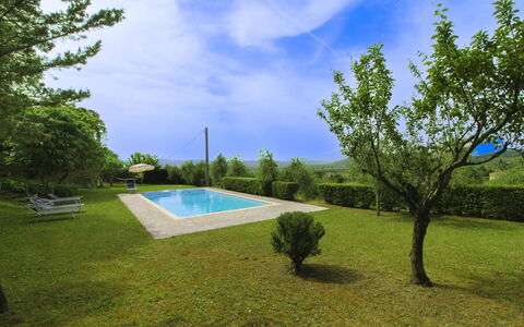 Olivo: Hierba, Casa, Casa, Área Rural, Cabaña, Casa De Campo, Inmuebles, Prado, Césped, Paisajismo