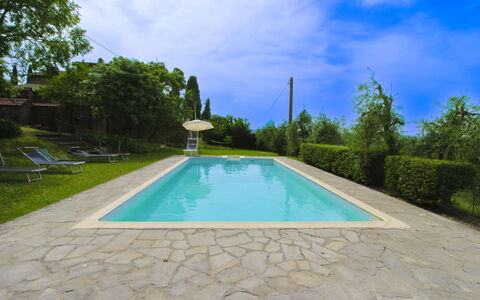 Olivo: Hierba, Casa, Casa, Área Rural, Cabaña, Casa De Campo, Inmuebles, Prado, Césped, Paisajismo