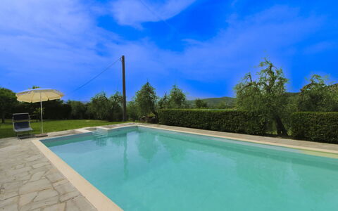 Olivo: Hierba, Casa, Casa, Área Rural, Cabaña, Casa De Campo, Inmuebles, Prado, Césped, Paisajismo