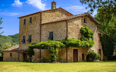 Olivo: Hierba, Casa, Casa, Área Rural, Cabaña, Casa De Campo, Inmuebles, Prado, Césped, Paisajismo