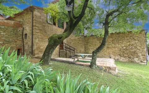 Olivo: Hierba, Casa, Casa, Área Rural, Cabaña, Casa De Campo, Inmuebles, Prado, Césped, Paisajismo