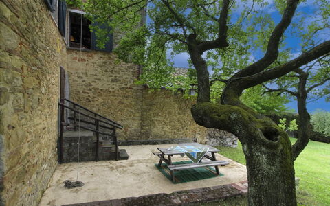 Olivo: Hierba, Casa, Casa, Área Rural, Cabaña, Casa De Campo, Inmuebles, Prado, Césped, Paisajismo