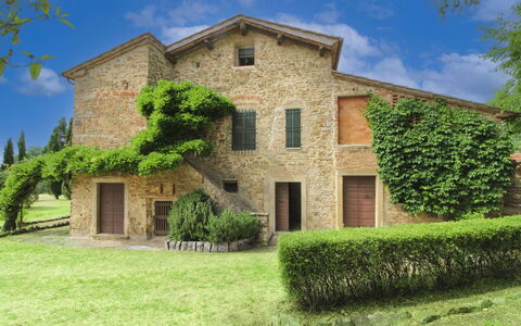 Olivo: Hierba, Casa, Casa, Área Rural, Cabaña, Casa De Campo, Inmuebles, Prado, Césped, Paisajismo