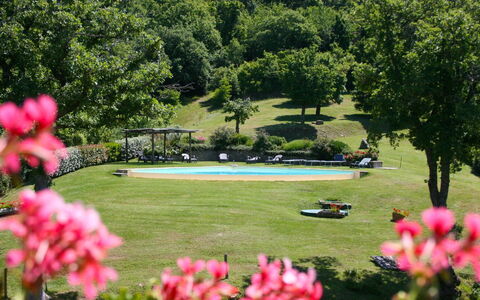 Torre di Vignale: Flor, Planta, Botánica, Agua, Árbol, Naturaleza, Pétalo, Paisaje Natural, Vegetación, Hierba
