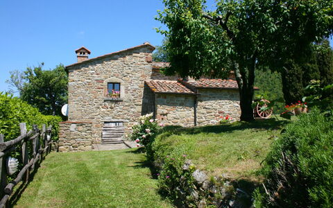 Torre di Vignale: Planta, Cielo, Edificio, Árbol, Paisaje Natural, Ventana, El Terreno Del Lote, Casa, Cabaña, Ocio