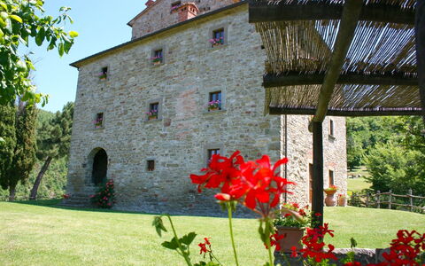 Torre di Vignale: Flor, Planta, Edificio, Propiedad, Ventana, Pétalo, Cielo, Árbol, Vegetación, Hierba