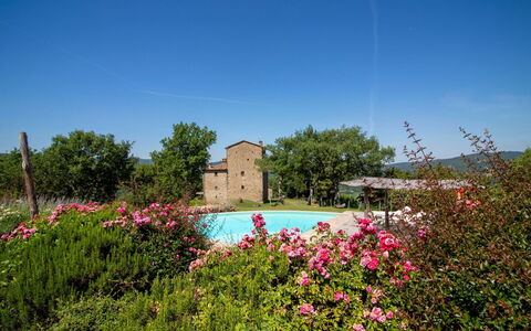 Torre di Vignale: Árbol, Paisaje, El Terreno Del Lote, Área Rural, Parque