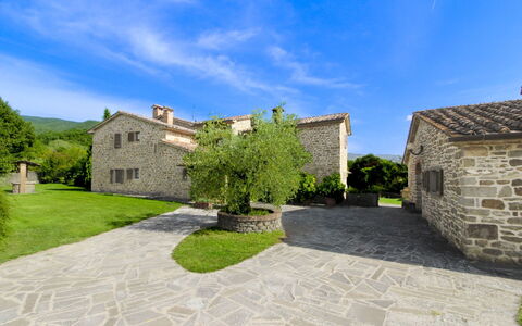 Casale Lorenzo: Árbol, Llanura, El Terreno Del Lote, Césped, Jardín, Inmuebles, Prado, Paisajismo, Yarda, Casa De Campo