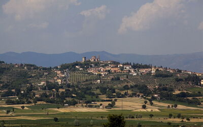 Il Meleto