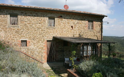 Podere della Crocchia: Planta, Nube, Cielo, Edificio, Propiedad, Ventana, El Terreno Del Lote, Casa, Cabaña, Área Rural