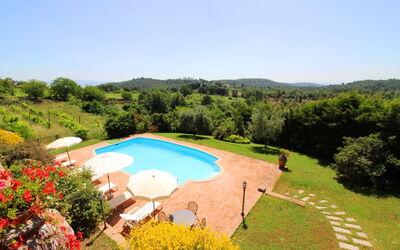 Villa Verniana: Planta, Flor, Agua, Cielo, Planta De La Comunidad, Árbol, Paisaje Natural, Entorno Natural, Piscina, Ocio