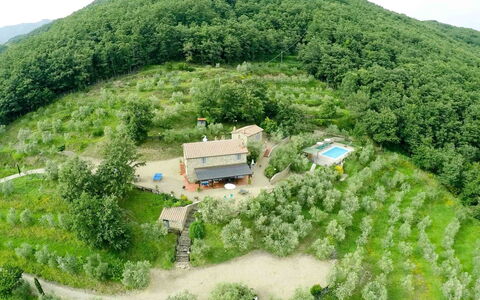 Agriturismo Ca di Vestro: Planta, Verde, Paisaje Natural, Árbol, Cielo, El Terreno Del Lote, Edificio, Diseño Urbano, Hierba, Paisaje