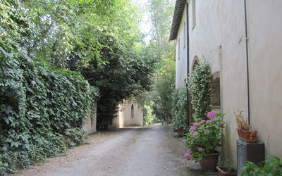 Alojamiento:&nbsp;Borgo