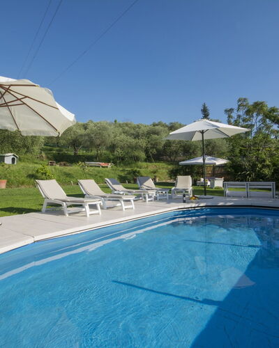 Olivo: Piscina, Propiedad, Vacaciones, Recurso, Bienes Raíces, Ocio, Cielo, Casa, Agua, Edificio