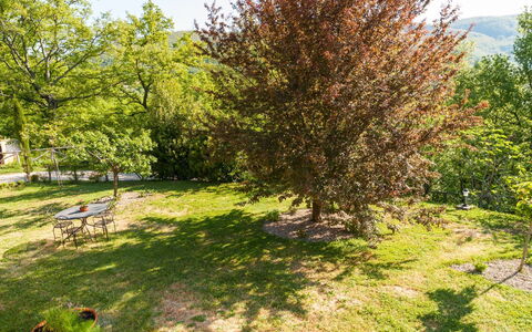 Casa la Primula: Planta, Planta De La Comunidad, Verde, Rama, Paisaje Natural, El Terreno Del Lote, Vegetación, Árbol, Hierba, Sombra