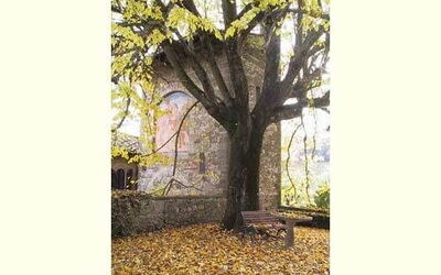 Alojamiento:&nbsp;San Martino