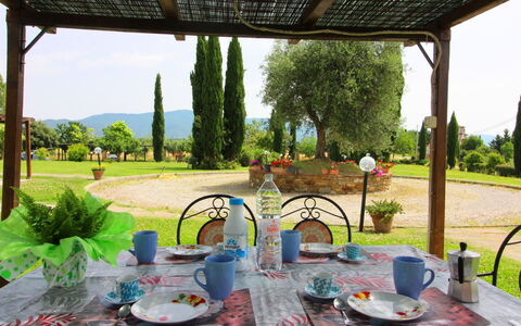 Podere Marcigliano: Vajilla, Mesa, Planta, Propiedad, Verde, Diseño De Interiores, Cielo, Textil, Árbol, Sombra