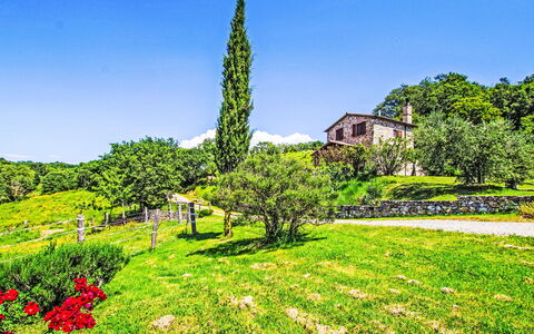 Casalini: Paisaje Natural, Arbusto, Paisaje, Área Rural, Jardín, El Terreno Del Lote, Cobertura Del Suelo, Cabaña, Prado
