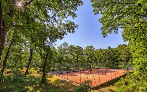 Podere Sant'angelo: Naturaleza, Árbol, Paisaje Natural, Entorno Natural, Cielo, Reserva Natural, Bosque, Bosque, Biome, Hoja