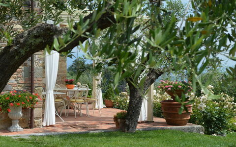 Nel Guasto: Árbol, Propiedad, Jardín, Planta, Botánica, Patio Interior, Yarda, Plantas Leñosas, Flor, Paisajismo