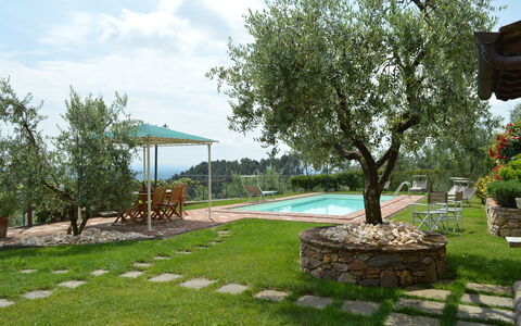 Nel Guasto: Propiedad, Yarda, Hierba, Patio Interior, Árbol, Césped, Bienes Raíces, Casa, Paisajismo, El Terreno Del Lote