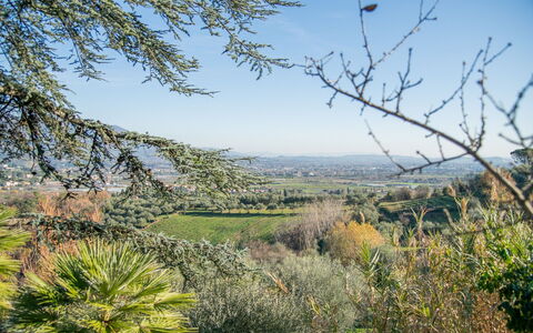 Villa Pedone: Cielo, Planta, Planta De La Comunidad, Paisaje Natural, El Terreno Del Lote, Árbol, Ramita, Hierba, Paisaje, Llanura