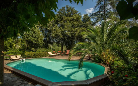 Villa Pedone: Agua, Planta, Piscina, Azur, Botánica, Cielo, Nube, Sombra, Hierba, Ocio