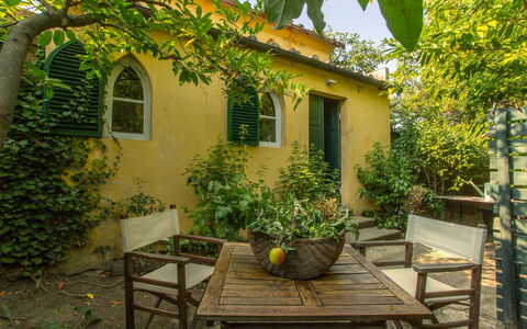 Villa Pedone: Amarillo, Arbusto, Puerta, Jardín, Casa, Primavera, Maceta, Cabaña, Patio Interior, Sombra