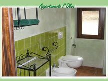 Alojamiento:&nbsp;L'olivo