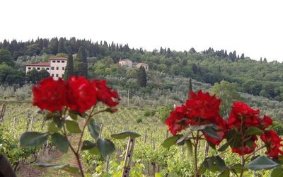 Villa Luigi - Rignano Sull'Arno, Toscana, Italia