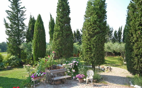 Casa Cipressi: Árbol, Thuya, Propiedad, Planta, Jardín, Arbusto, Biome, Plantas Leñosas, Hojas Perennes, Hierba