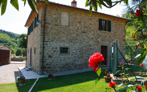 Casa Antica: Planta, Edificio, Cielo, Propiedad, Ventana, Verde, Flor, Árbol, Casa, Hierba